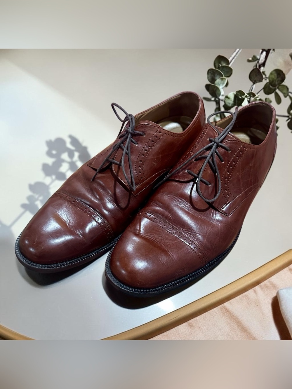 Johnston & Murphy Bradford Cap Toe Oxfords Brown US 12 2E